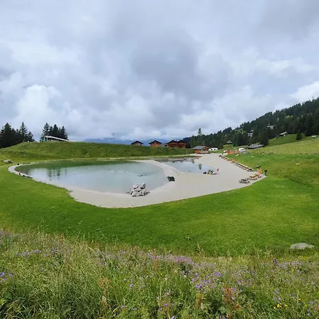 Lägenhet Elegant Haute-crete, In Out, 9 Personnes, Vues Imprenables Gryon