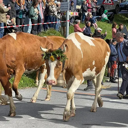 Elegant Haute-crete, In Out, 9 Personnes, Vues Imprenables Gryon